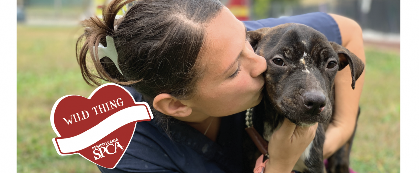 Send a Shelter Valentine! Pennsylvania Society for the